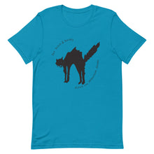 Load image into Gallery viewer, Black Cat Unisex T-Shirt