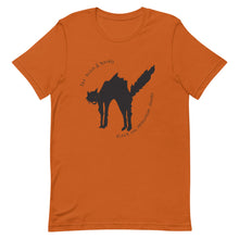 Load image into Gallery viewer, Black Cat Unisex T-Shirt