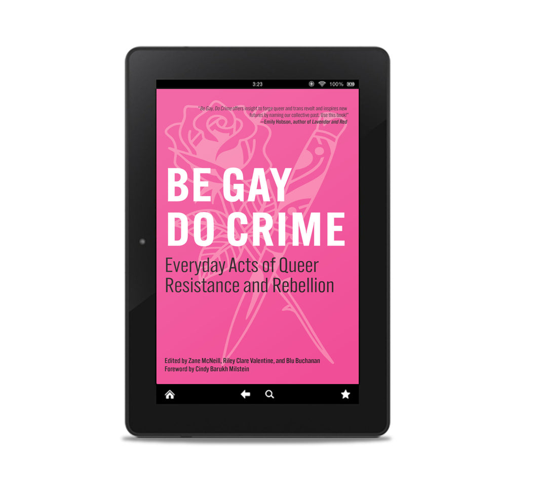 Be Gay, Do Crime: Everyday Acts of Queer Resistance and Rebellion E-book