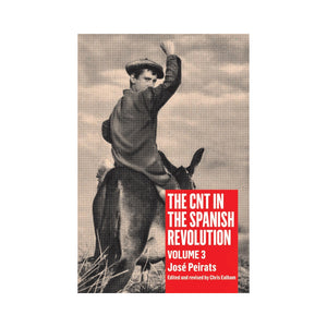 The CNT in the Spanish Revolution: Volume 3 - José Peirats
