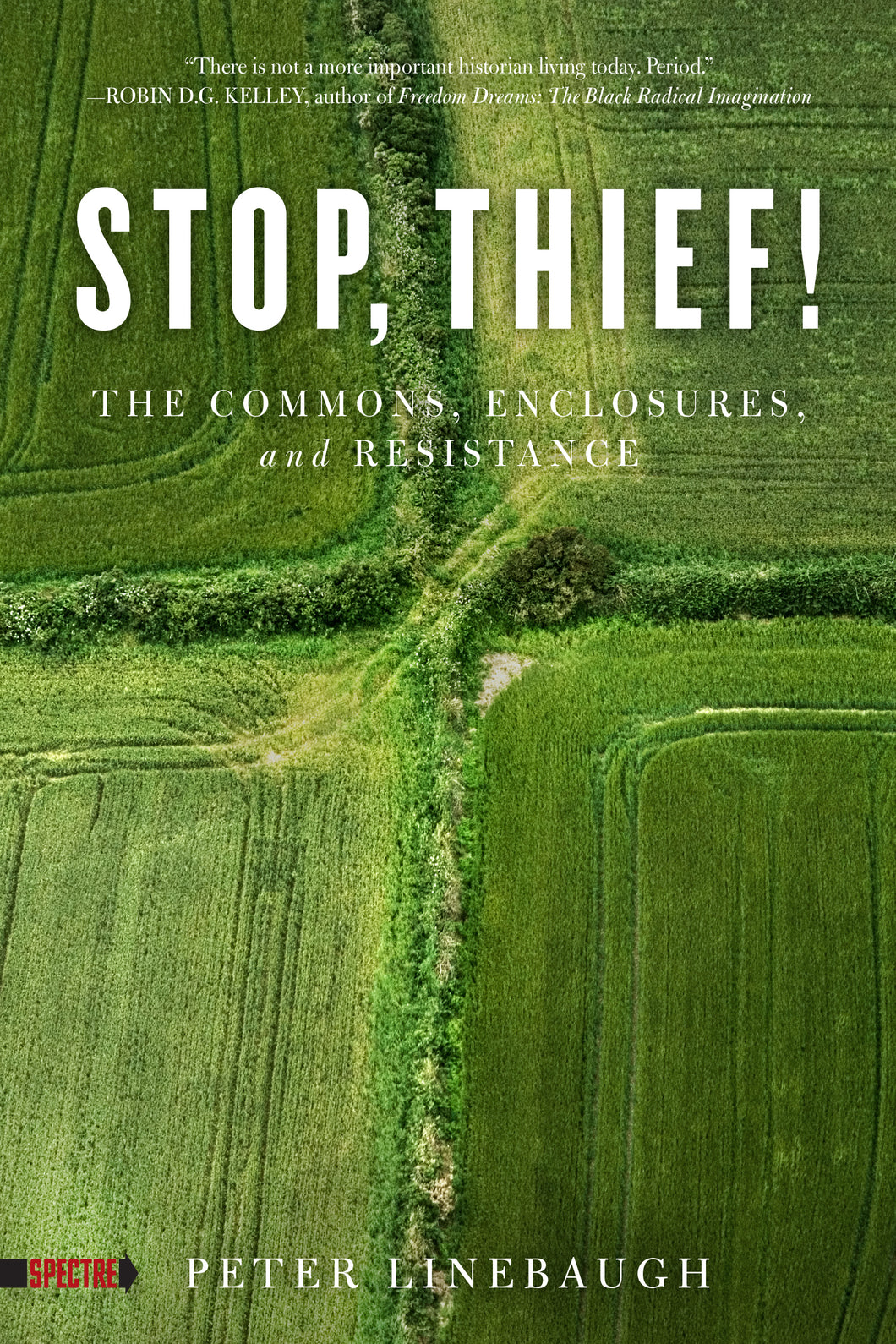 Stop, Thief! - Peter Linebaugh