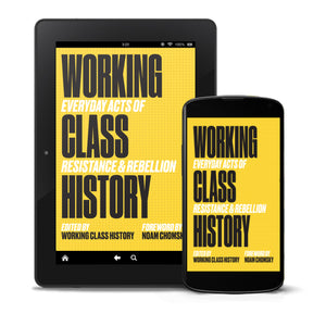 Working Class History: Everyday Acts of Resistance & Rebellion e-book